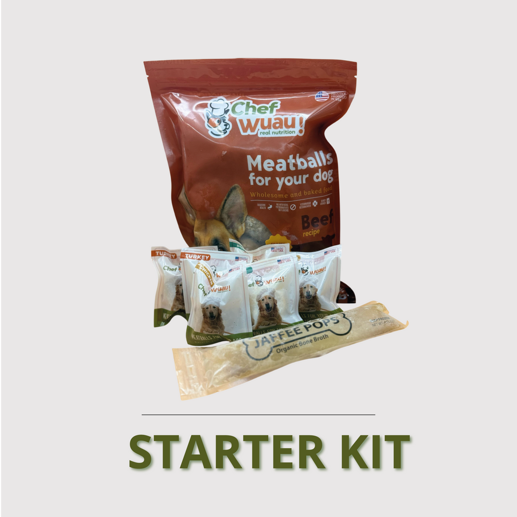 STARTER KIT 🐶❤️