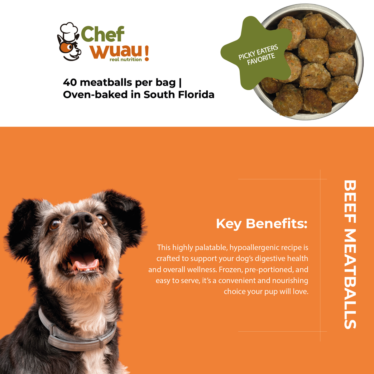 Turkey Meatballs for Sensitive Dogs | Chef Wuau Miami – CHEF WUAU!