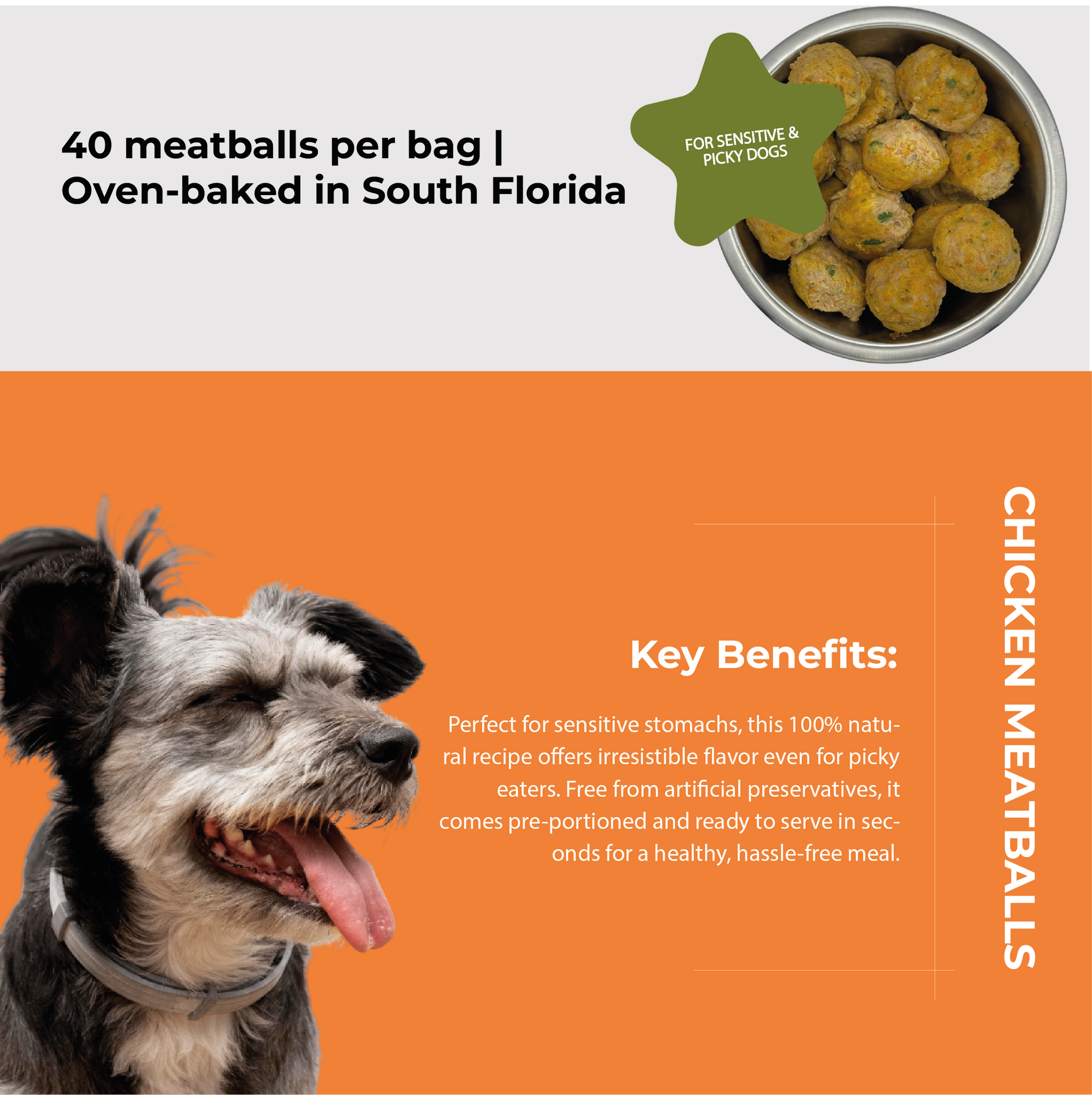 Chicken Meatballs for Dogs | Sensitive Stomach – CHEF WUAU!