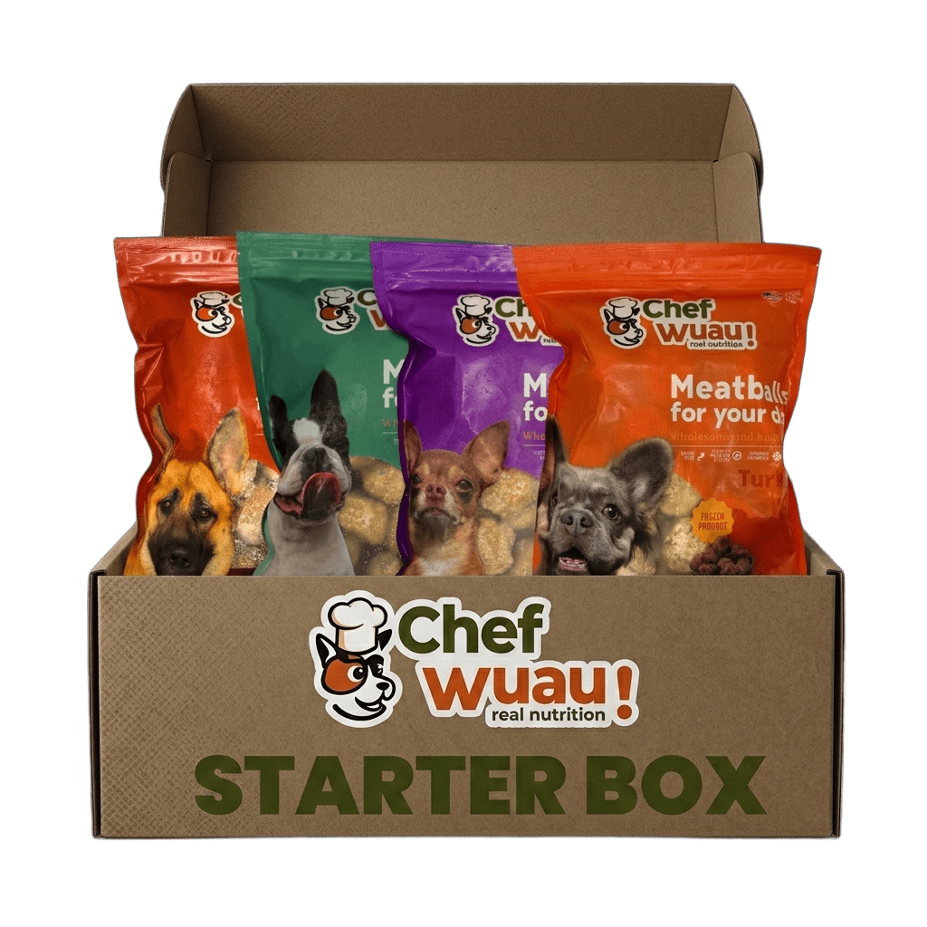 Best Seller Starter Box – 30% Off